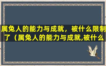 属兔人的能力与成就，被什么限制了（属兔人的能力与成就,被什么限制了呢）