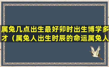 属兔几点出生最好卯时出生博学多才（属兔人出生时辰的命运属兔人几点出生最好(2)）