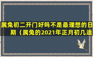 属兔初二开门好吗不是最理想的日期（属兔的2021年正月初几适合开门营业）