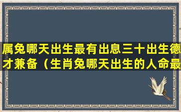 属兔哪天出生最有出息三十出生德才兼备（生肖兔哪天出生的人命最好）