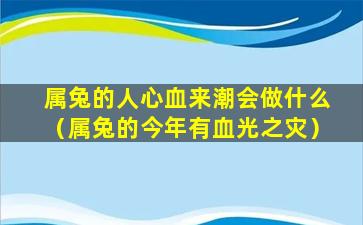 属兔的人心血来潮会做什么（属兔的今年有血光之灾）