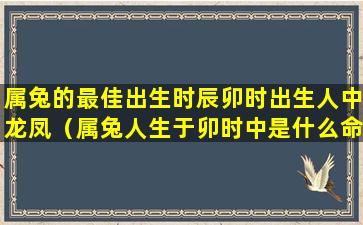 属兔的最佳出生时辰卯时出生人中龙凤（属兔人生于卯时中是什么命运）