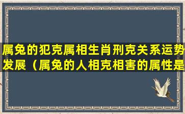 属兔的犯克属相生肖刑克关系运势发展（属兔的人相克相害的属性是什么）