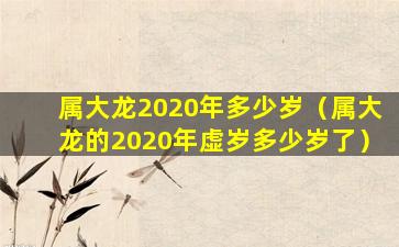 属大龙2020年多少岁（属大龙的2020年虚岁多少岁了）