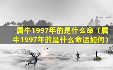 属牛1997年的是什么命（属牛1997年的是什么命运如何）