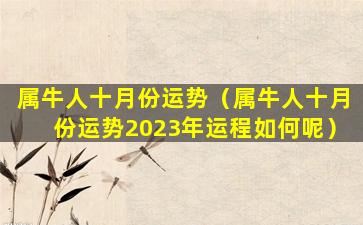 属牛人十月份运势（属牛人十月份运势2023年运程如何呢）