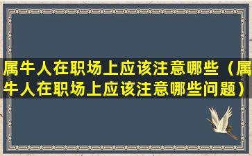 属牛人在职场上应该注意哪些（属牛人在职场上应该注意哪些问题）