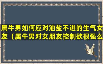 属牛男如何应对油盐不进的生气女友（属牛男对女朋友控制欲很强么）