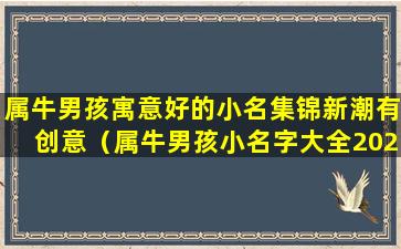 属牛男孩寓意好的小名集锦新潮有创意（属牛男孩小名字大全2020最新版的）