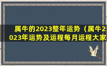 属牛的2023整年运势（属牛2023年运势及运程每月运程大家找算命网）