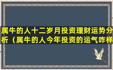 属牛的人十二岁月投资理财运势分析（属牛的人今年投资的运气咋样呢）