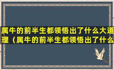 属牛的前半生都领悟出了什么大道理（属牛的前半生都领悟出了什么大道理和小道理）