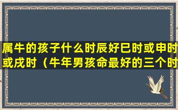 属牛的孩子什么时辰好巳时或申时或戌时（牛年男孩命最好的三个时辰）