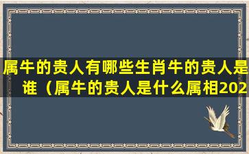 属牛的贵人有哪些生肖牛的贵人是谁（属牛的贵人是什么属相2021）