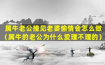 属牛老公撞见老婆偷情会怎么做（属牛的老公为什么爱理不理的）