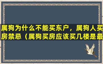 属狗为什么不能买东户，属狗人买房禁忌（属狗买房应该买几楼是最好的房门冲哪个方向最好）