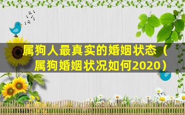 属狗人最真实的婚姻状态（属狗婚姻状况如何2020）