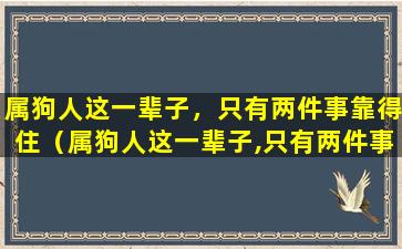 属狗人这一辈子，只有两件事靠得住（属狗人这一辈子,只有两件事靠得住）