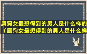 属狗女最想得到的男人是什么样的（属狗女最想得到的男人是什么样的性格）