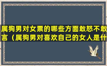 属狗男对女票的哪些方面敢怒不敢言（属狗男对喜欢自己的女人是什么态度）