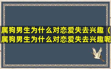 属狗男生为什么对恋爱失去兴趣（属狗男生为什么对恋爱失去兴趣呢）