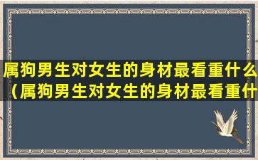 属狗男生对女生的身材最看重什么（属狗男生对女生的身材最看重什么颜色）