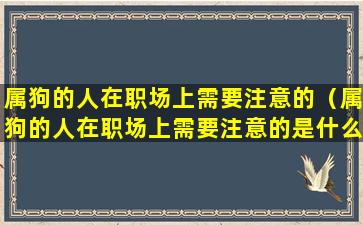 属狗的人在职场上需要注意的（属狗的人在职场上需要注意的是什么）