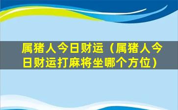 属猪人今日财运（属猪人今日财运打麻将坐哪个方位）