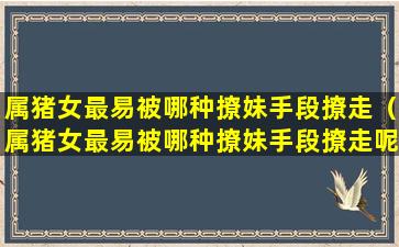 属猪女最易被哪种撩妹手段撩走（属猪女最易被哪种撩妹手段撩走呢）