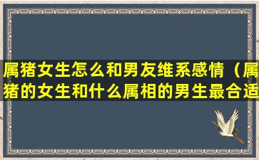 属猪女生怎么和男友维系感情（属猪的女生和什么属相的男生最合适）