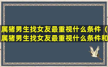 属猪男生找女友最重视什么条件（属猪男生找女友最重视什么条件和性格）