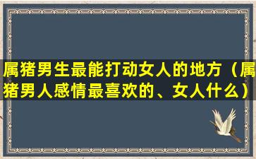 属猪男生最能打动女人的地方（属猪男人感情最喜欢的、女人什么）