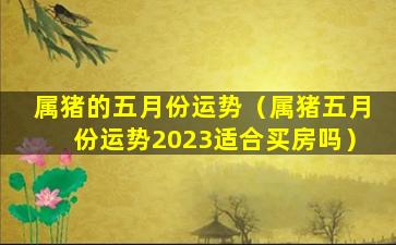 属猪的五月份运势（属猪五月份运势2023适合买房吗）