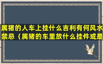 属猪的人车上挂什么吉利有何风水禁忌（属猪的车里放什么挂件或是摆件最好呢）