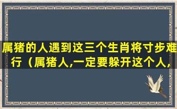 属猪的人遇到这三个生肖将寸步难行（属猪人,一定要躲开这个人,他是你一辈子的克星）