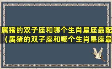 属猪的双子座和哪个生肖星座最配（属猪的双子座和哪个生肖星座最配婚姻）