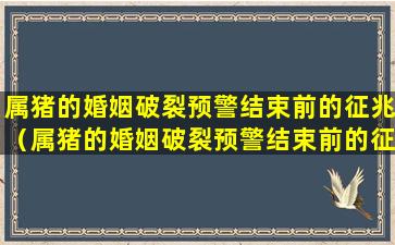 属猪的婚姻破裂预警结束前的征兆（属猪的婚姻破裂预警结束前的征兆有哪些）