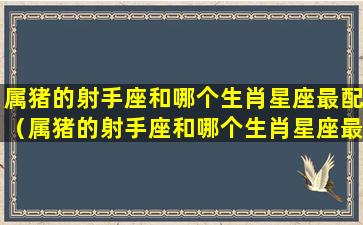 属猪的射手座和哪个生肖星座最配（属猪的射手座和哪个生肖星座最配婚姻）