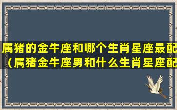 属猪的金牛座和哪个生肖星座最配（属猪金牛座男和什么生肖星座配）