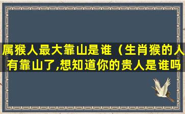 属猴人最大靠山是谁（生肖猴的人有靠山了,想知道你的贵人是谁吗）