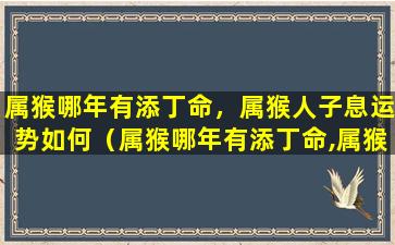 属猴哪年有添丁命，属猴人子息运势如何（属猴哪年有添丁命,属猴人子息运势如何）