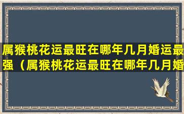 属猴桃花运最旺在哪年几月婚运最强（属猴桃花运最旺在哪年几月婚运最强壮）