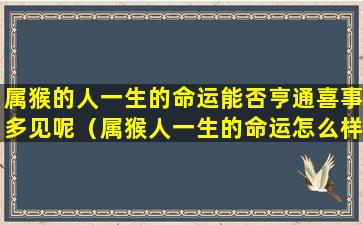 属猴的人一生的命运能否亨通喜事多见呢（属猴人一生的命运怎么样）