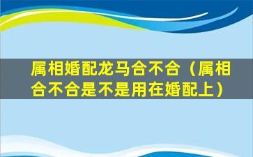 属相婚配龙马合不合（属相合不合是不是用在婚配上）