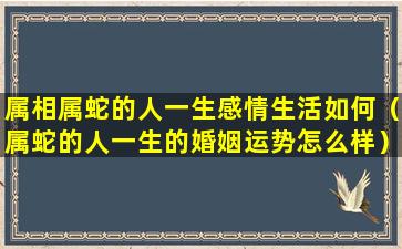 属相属蛇的人一生感情生活如何（属蛇的人一生的婚姻运势怎么样）