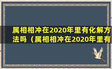 属相相冲在2020年里有化解方法吗（属相相冲在2020年里有化解方法吗为什么）