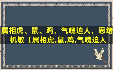 属相虎、鼠、鸡，气魄迫人，思绪机敏（属相虎,鼠,鸡,气魄迫人,思绪机敏）