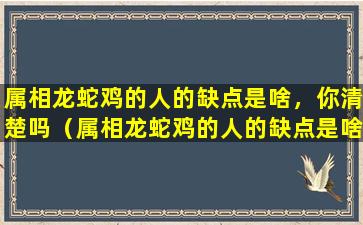 属相龙蛇鸡的人的缺点是啥，你清楚吗（属相龙蛇鸡的人的缺点是啥,你清楚吗）