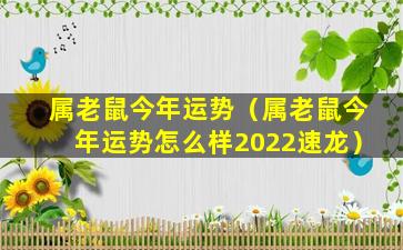 属老鼠今年运势（属老鼠今年运势怎么样2022速龙）