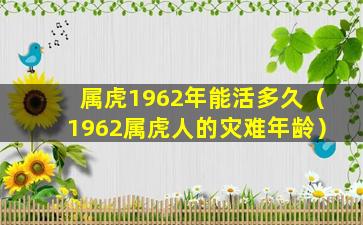 属虎1962年能活多久（1962属虎人的灾难年龄）